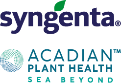 syngenta auspiciador